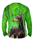 Doberman Pinscher Perfection