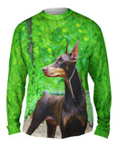Doberman Pinscher Perfection