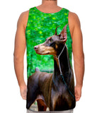 Doberman Pinscher Perfection