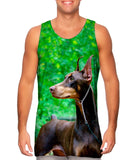 Doberman Pinscher Perfection
