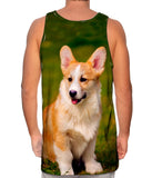 Pembroke Welsh Corgi Puppy