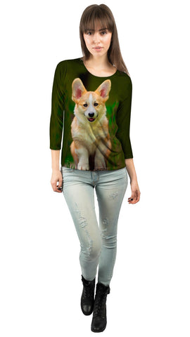 Pembroke Welsh Corgi Dog