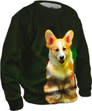 Pembroke Welsh Corgi Dog