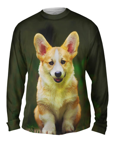 Pembroke Welsh Corgi Dog
