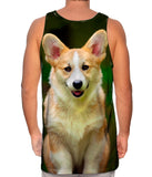 Pembroke Welsh Corgi Dog