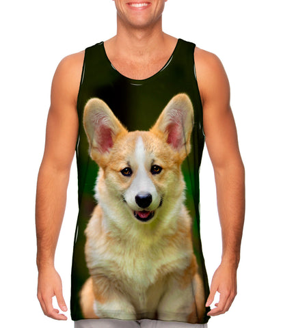 Pembroke Welsh Corgi Dog