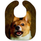 OMG Welsh Corgi