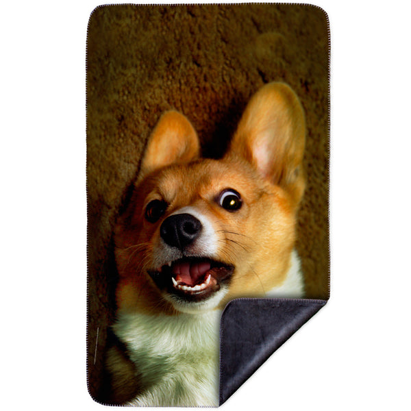 OMG Welsh Corgi MicroMink(Whip Stitched) Grey