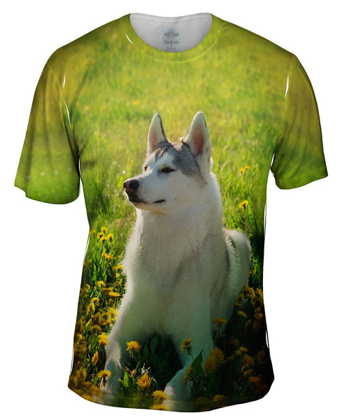 Siberian Husky Fields Mens T-Shirt
