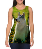 Siberian Husky Fields