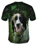 Wet Cavalier King Charles Spaniel