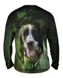 Wet Cavalier King Charles Spaniel