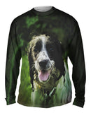 Wet Cavalier King Charles Spaniel