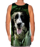 Wet Cavalier King Charles Spaniel