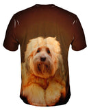 Tibetan Terrier