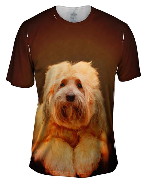 Tibetan Terrier Mens T-Shirt