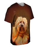 Tibetan Terrier