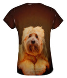 Tibetan Terrier