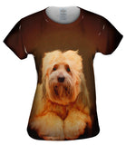Tibetan Terrier