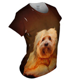 Tibetan Terrier