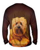 Tibetan Terrier