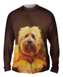 Tibetan Terrier