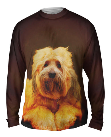 Tibetan Terrier