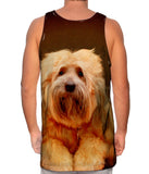 Tibetan Terrier