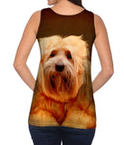 Tibetan Terrier