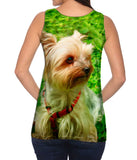 Yorkshire Terrier Moss