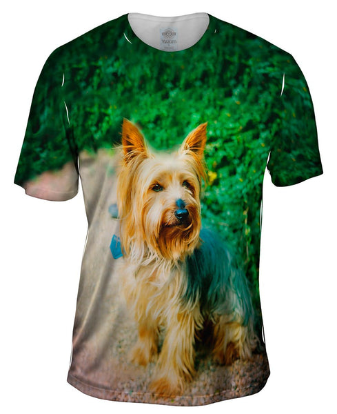 Yorkshire Terrier Mens T-Shirt