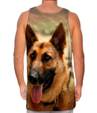 German Shepard