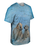 Golden Retriever Pup Fun