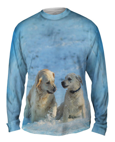 Golden Retriever Pup Fun