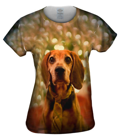Beagle New Year