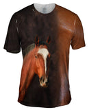 Horse Half Skin