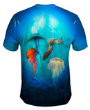 Jellyfish Wreck