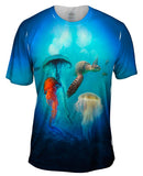 Jellyfish Wreck