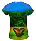 Butterfly 005