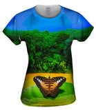 Butterfly 005