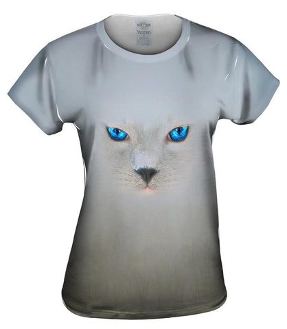 Cat 002
