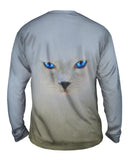 Cat 002