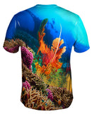 Coral Reef 001