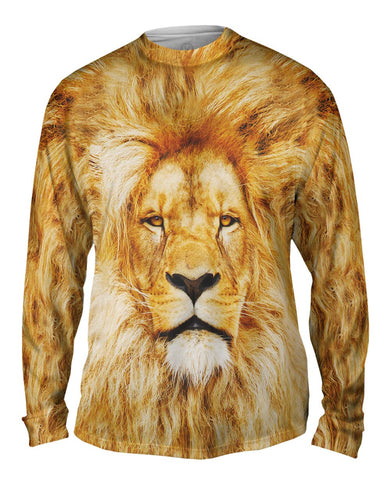 Lion 001