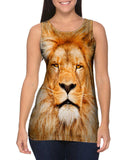 Lion 001