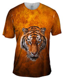 Tiger 001