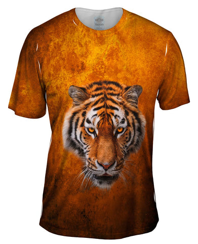 Tiger 001