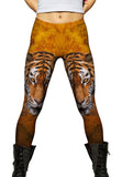 Tiger 001