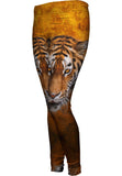 Tiger 001