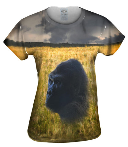Monkey 002